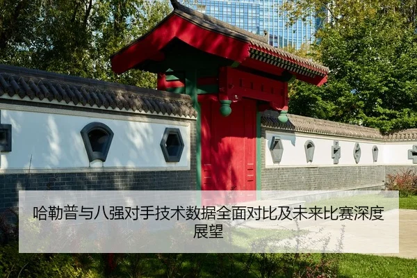 哈勒普与八强对手技术数据全面对比及未来比赛深度展望